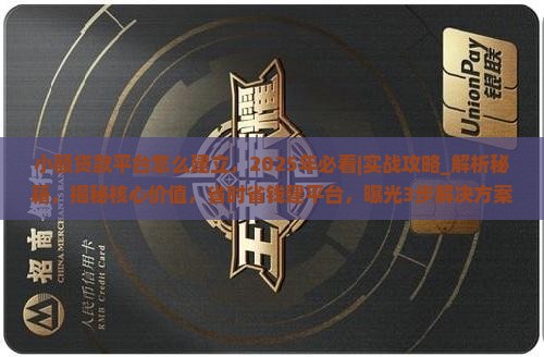 小额贷款平台怎么建立