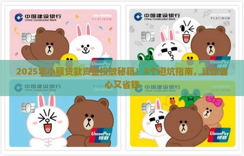 小额贷款资金投放方案