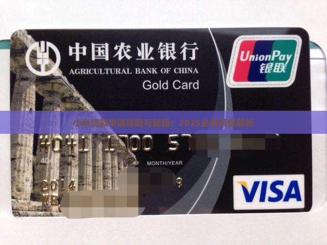 小米多米贷容易贷款吗