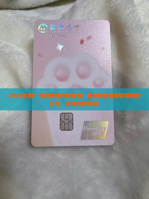 帮助别人贷款的公司有哪些