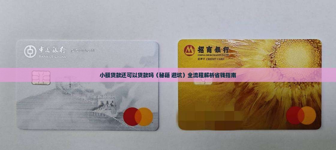 小额贷款还可以贷款吗