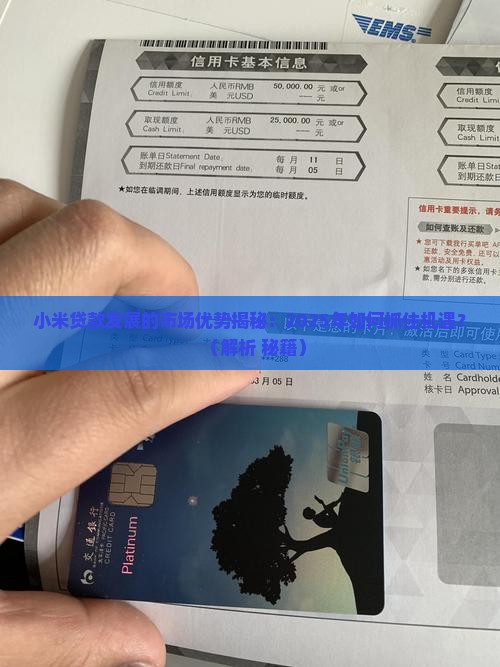 小米贷款发展的市场优势