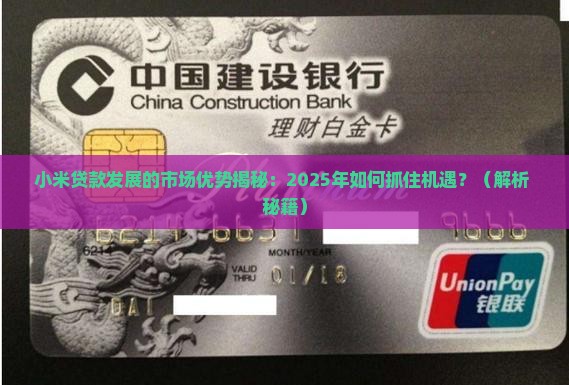 小米贷款发展的市场优势