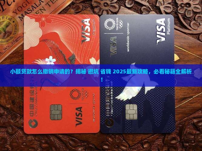 小额贷款怎么撤销申请的