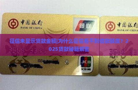 征信未显示贷款金额