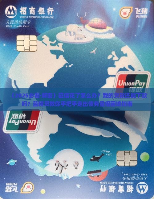 征信查花了怎么办贷款