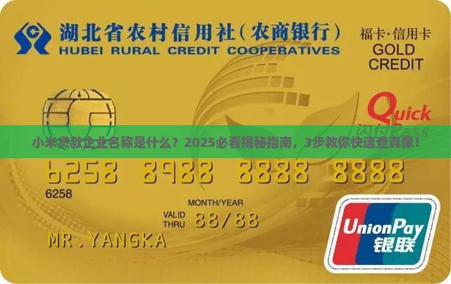 小米贷款企业名称