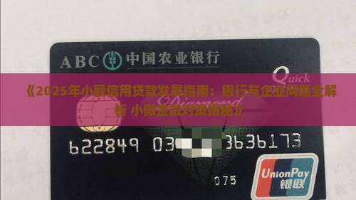 小额信用贷款发展的建议