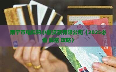 南宁市电科购小额贷款