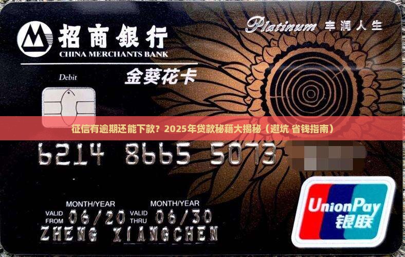 征信有逾期能下的贷款 征信有逾期能下的贷款