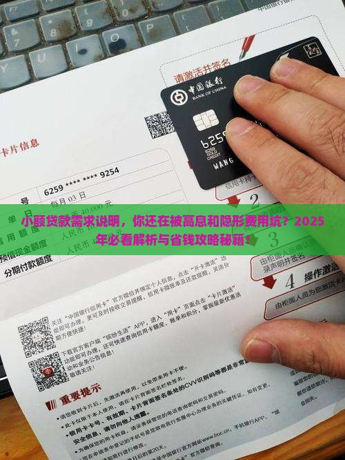 小额贷款需求说明