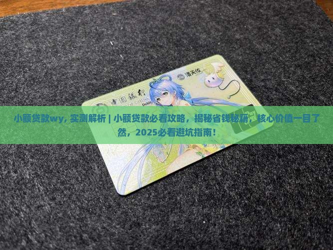 小额贷款wy