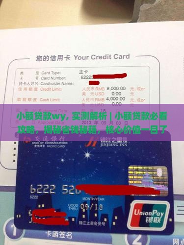 小额贷款wy