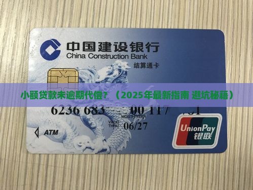 小额贷款未逾期代偿