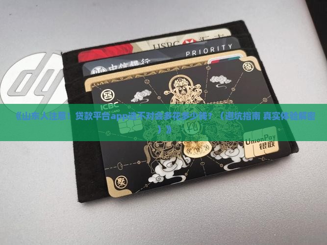 山东查贷款平台app