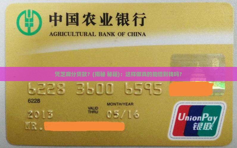 凭芝麻分贷款g
