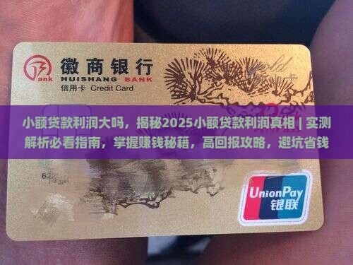 小额贷款利润大吗