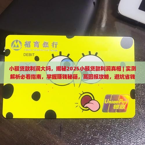 小额贷款利润大吗