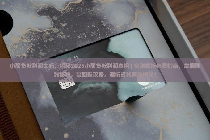 小额贷款利润大吗