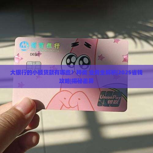 大银行的小额贷款有哪些