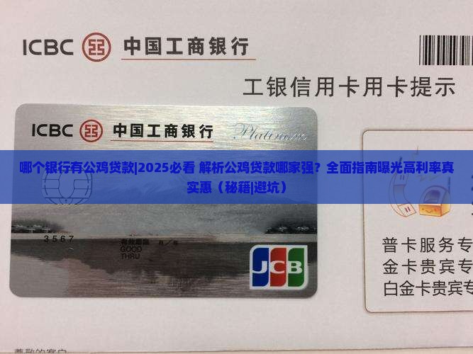 哪个银行有公鸡贷款