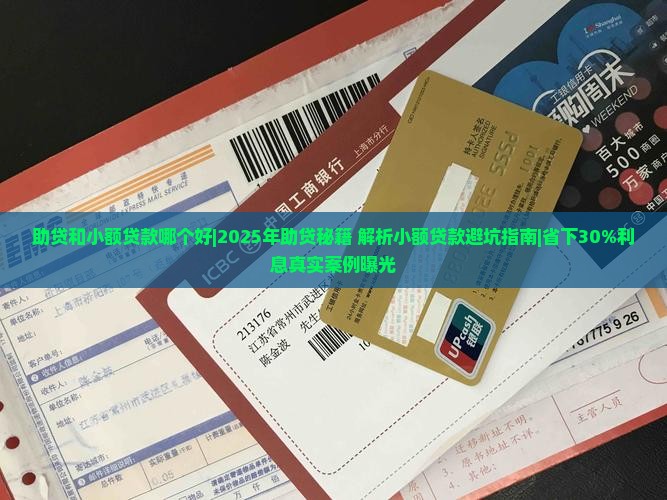 助贷和小额贷款哪个好