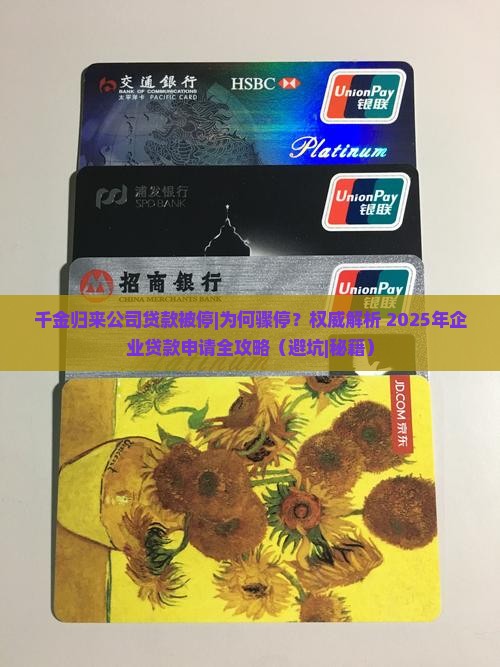 千金归来公司贷款被停