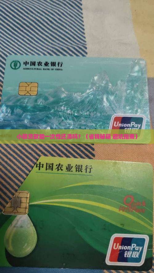 小额贷款一次可以还清吗