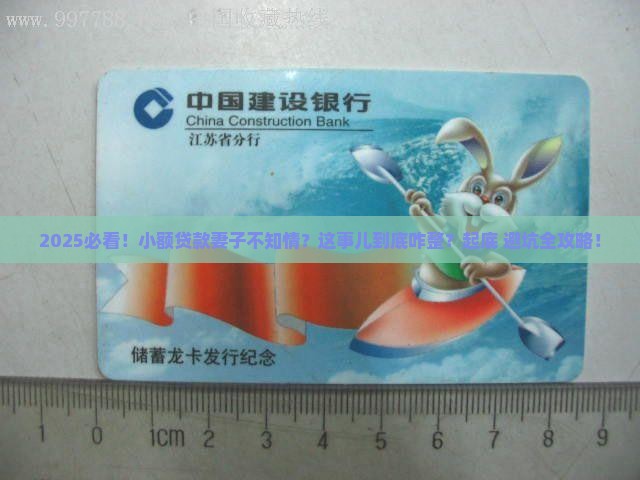 小额贷款妻子不知情