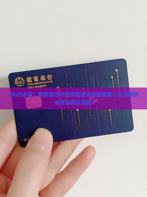 哪家银行是纯信用贷款的