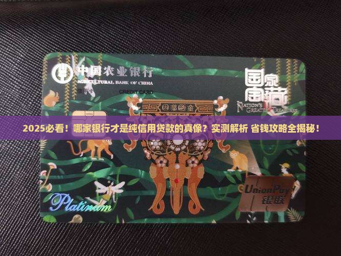 哪家银行是纯信用贷款的