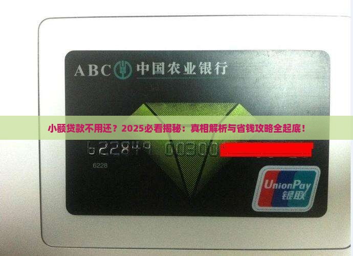 小额贷款真的不用还了吗 小额贷款真的不用还了吗