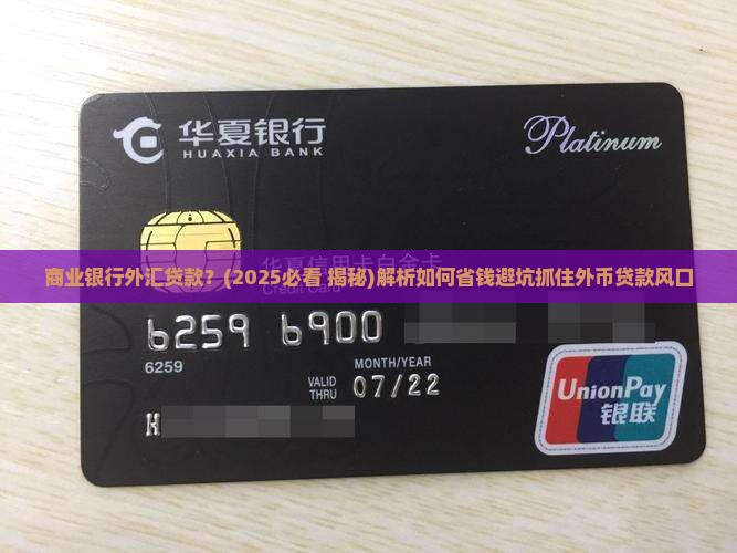 商业银行外汇贷款 商业银行外汇贷款