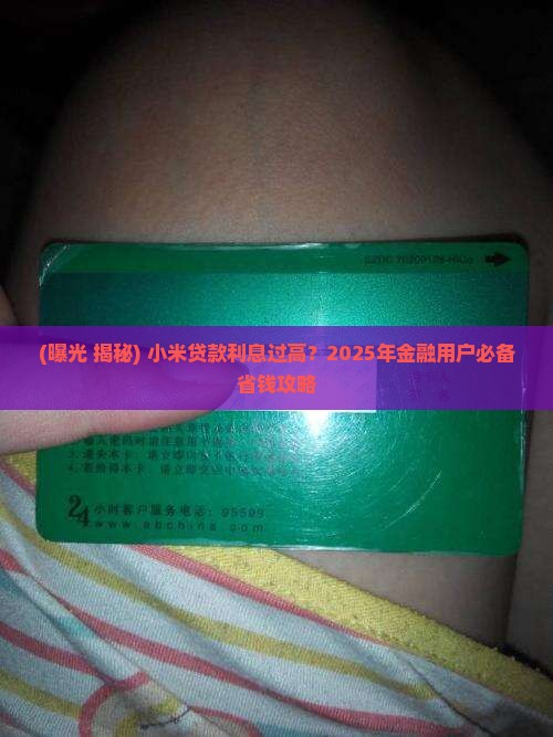 小米贷款利息过高