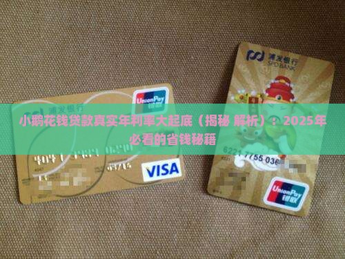 小鹅花钱贷款年利率多少