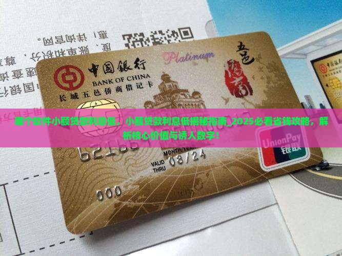 哪个软件小额贷款利息低
