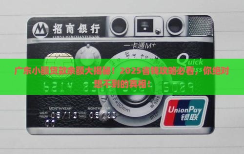 广东地区小额贷款余额