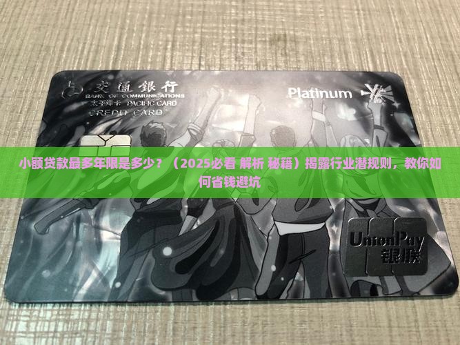 小额贷款最多年