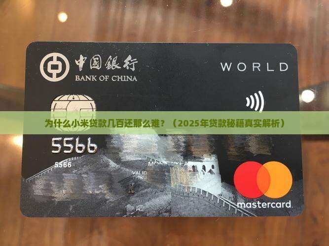 小米贷款几百