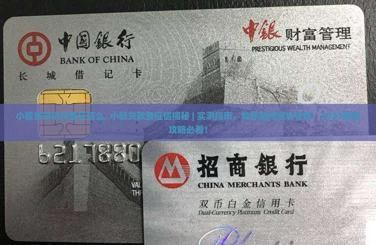 小额贷款机构查征信么