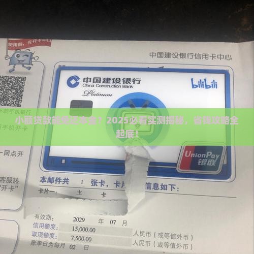 小额贷款可以光环本金吗