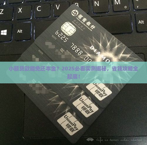 小额贷款可以光环本金吗