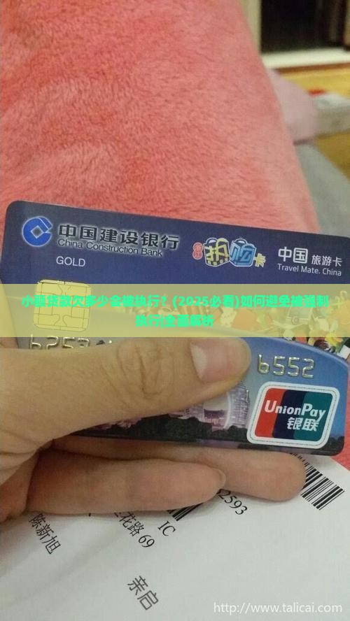 小额贷款欠多少会被执行