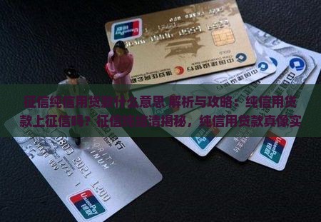 征信纯信用贷款什么意思