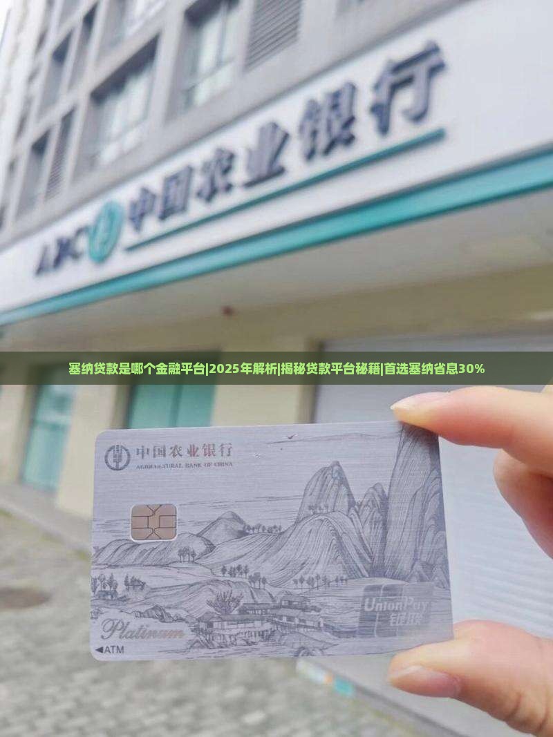 塞纳贷款是哪个金融平台