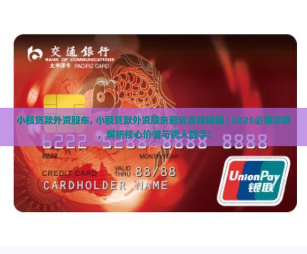 小额贷款外资股东