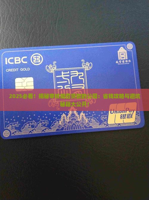 审核能否贷款的公司