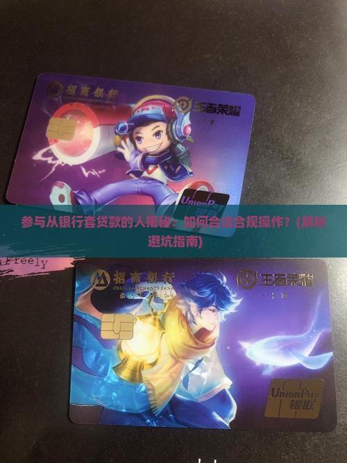 参与从银行套贷款的人