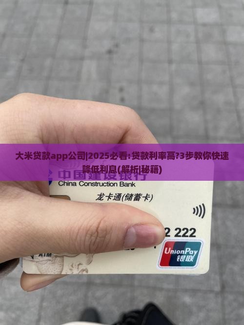 大米贷款app公司