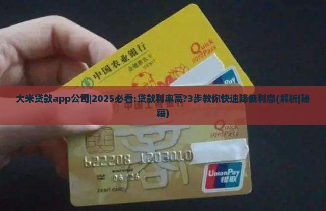 大米贷款app公司